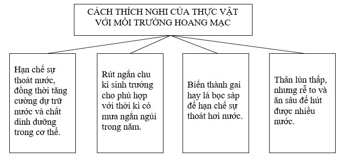 02.png