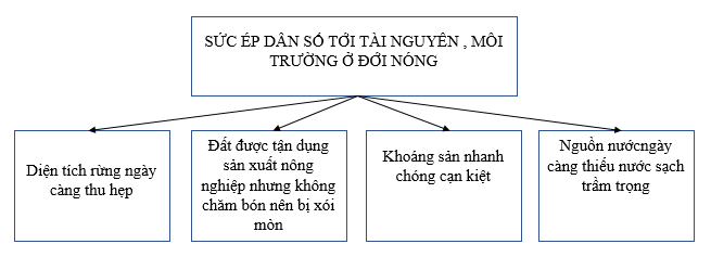 02.png
