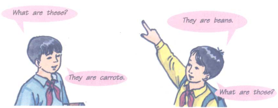 02.png