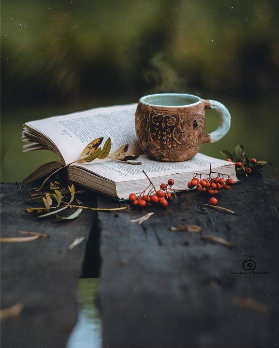 03 (4).jpg