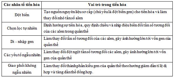 03.JPG