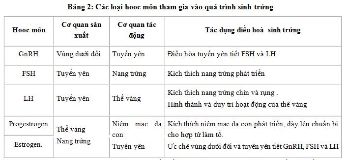 03.JPG