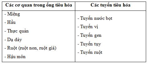 03.JPG