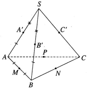 03.jpg
