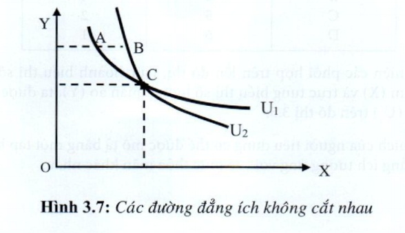 03.jpg