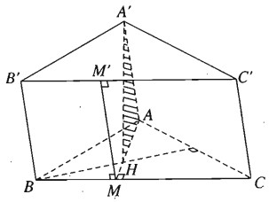 03.jpg