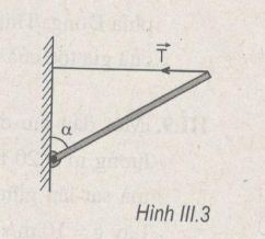 03.JPG