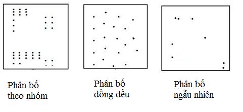 03.png