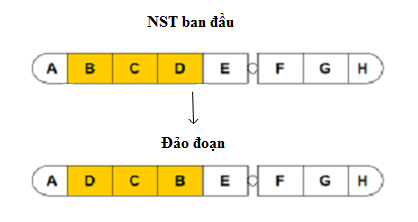 03.png