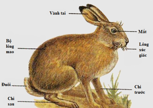 03.png