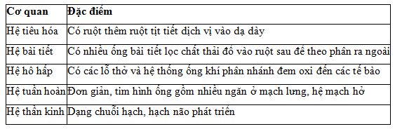 03.PNG