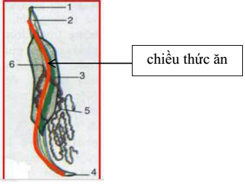 03.png