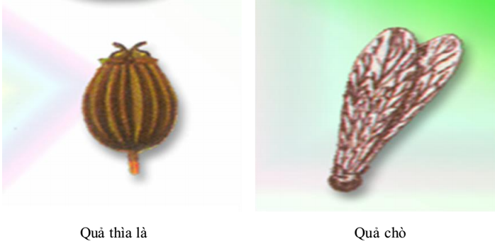 03.png