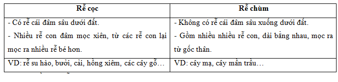 03.png