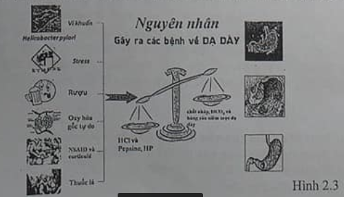 03.png
