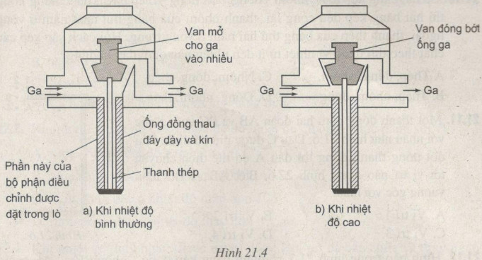 04.jpg