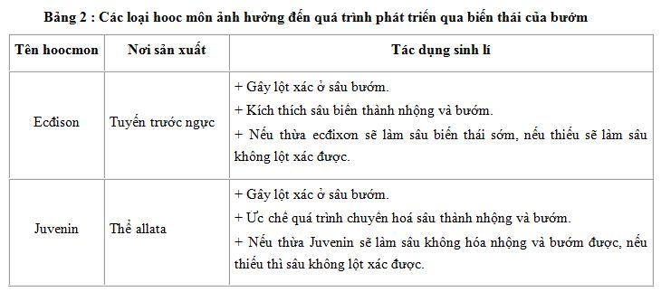 04.JPG