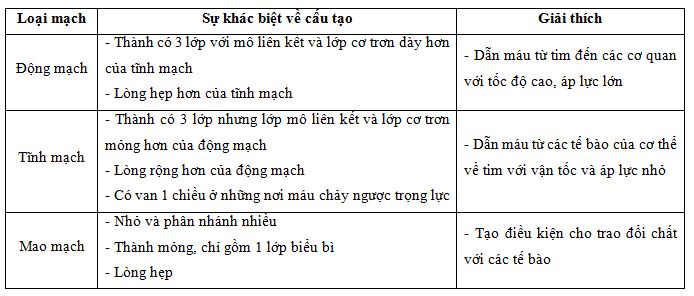 04.JPG
