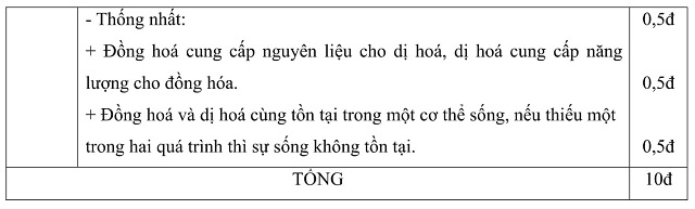 04.jpg