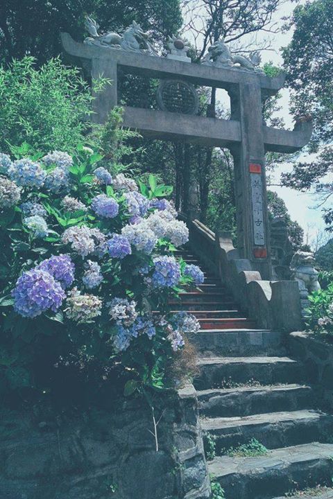 04.jpg