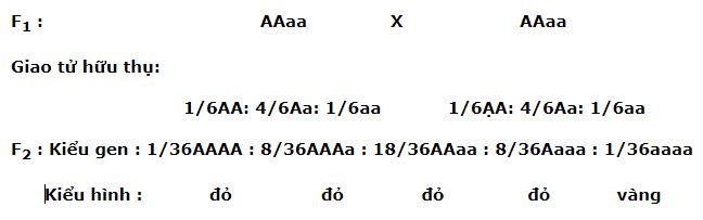 04.jpg
