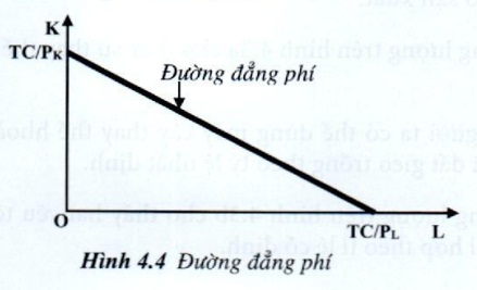 04.jpg