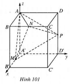 04.jpg