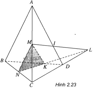 04.jpg