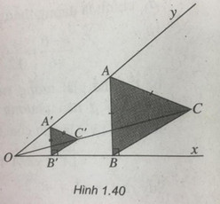 04.jpg