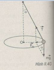 04.JPG