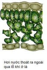 04.png