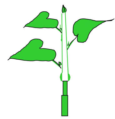 04.png