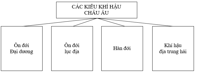 04.png