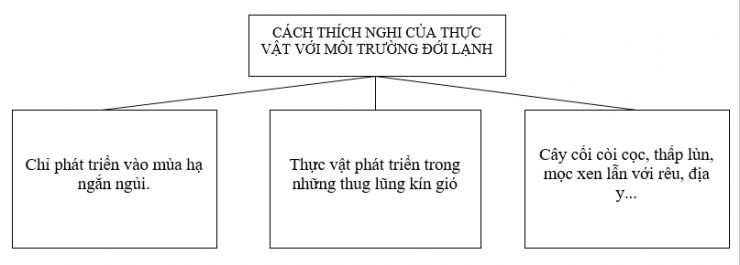 04.png