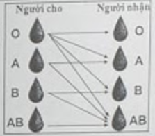 04.png