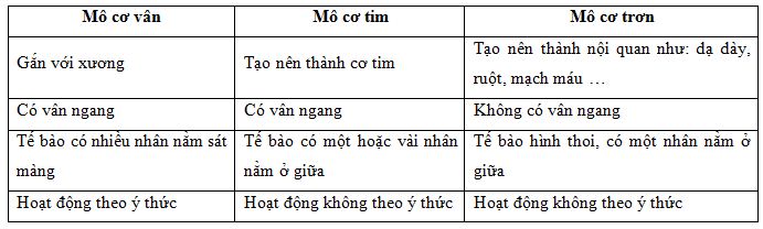 05.JPG