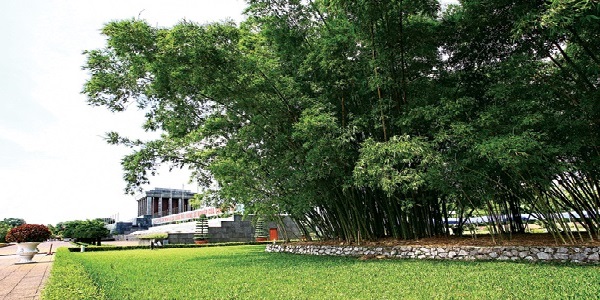 05.jpg