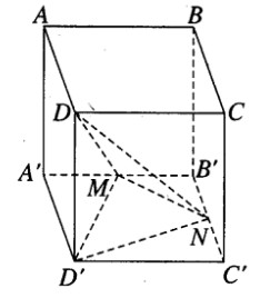05.jpg