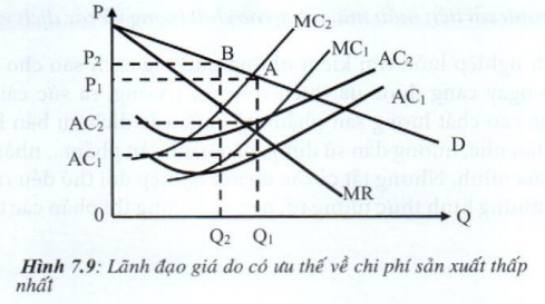 05.jpg