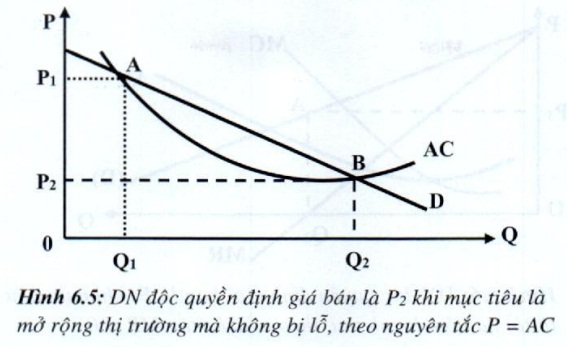 05.jpg