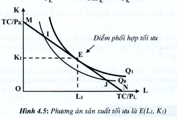 05.jpg
