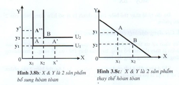 05.jpg