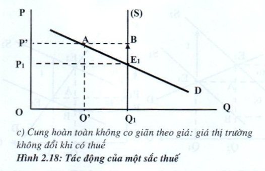 05.jpg