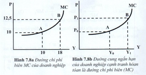 05.jpg