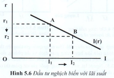05.jpg