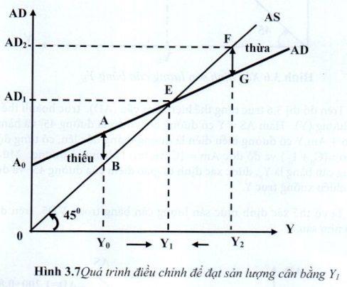 05.jpg