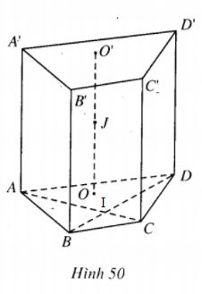 05.jpg