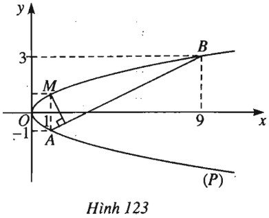 05.jpg