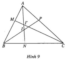 05.jpg