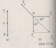 05.JPG